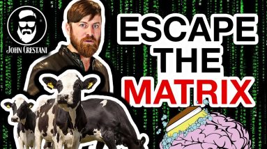 How To Escape The Matrix (And Stop Being Human Cattle)